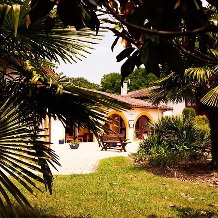 Hôtel Solenca Nogaro Exterior foto